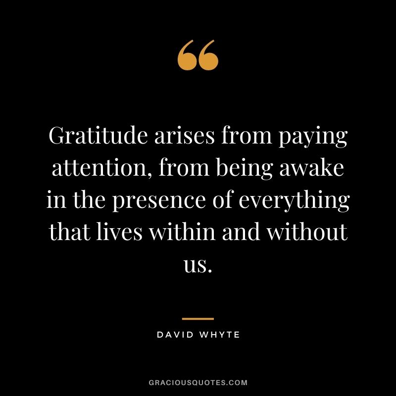 Gratitude arises from paying attention, from being awake in the presence of everything that lives within and without us.