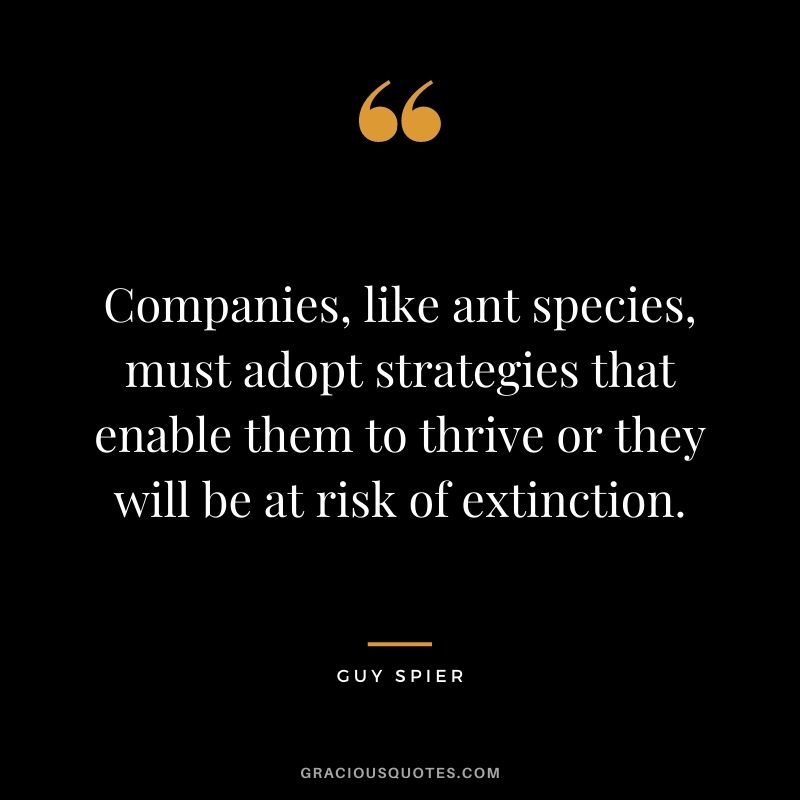 Companies, like ant species, must adopt strategies that enable them to thrive or they will be at risk of extinction.