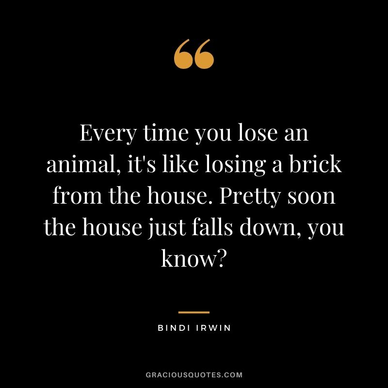 Every time you lose an animal, it's like losing a brick from the house. Pretty soon the house just falls down, you know?