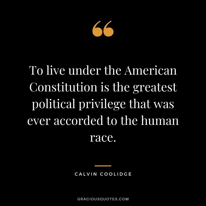 To live under the American Constitution is the greatest political privilege that was ever accorded to the human race.