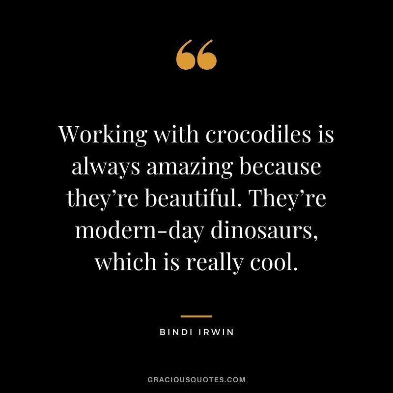 Working with crocodiles is always amazing because they’re beautiful. They’re modern-day dinosaurs, which is really cool.