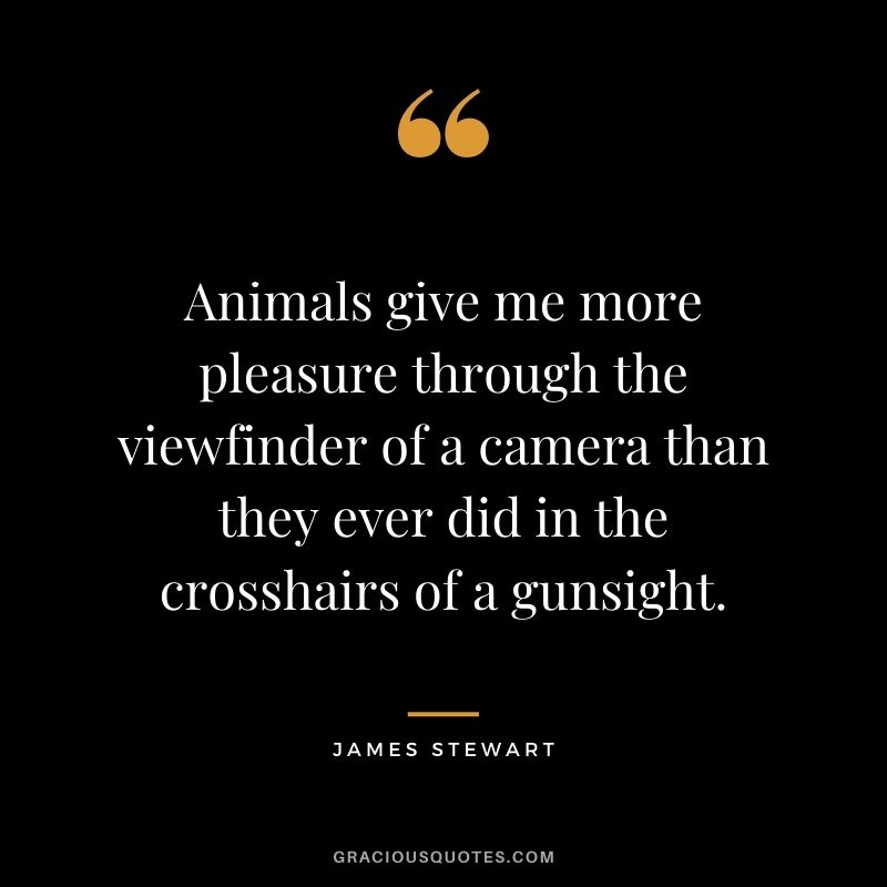 Animals give me more pleasure through the viewfinder of a camera than they ever did in the crosshairs of a gunsight.