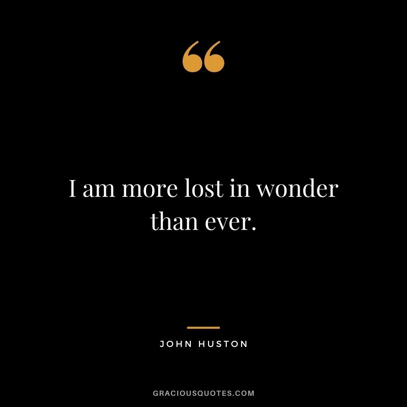 I am more lost in wonder than ever.