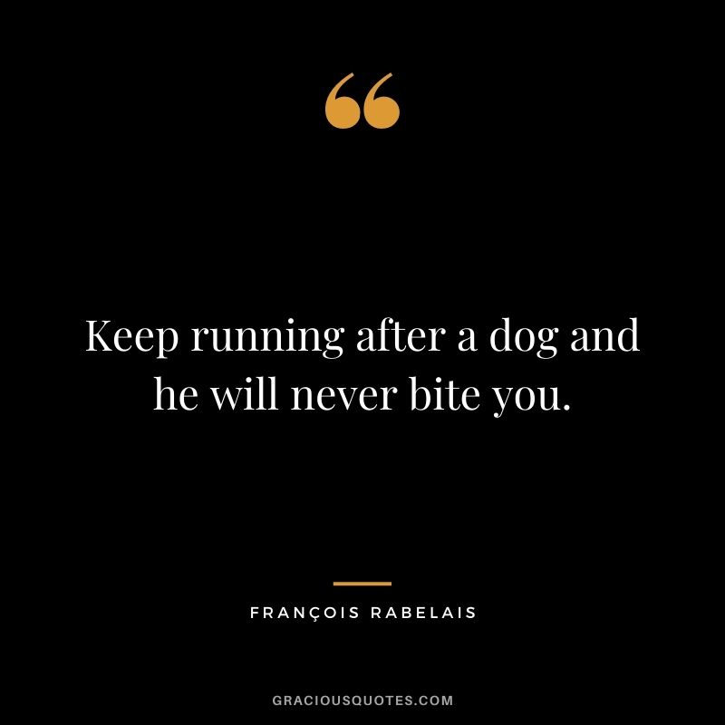 Keep running after a dog and he will never bite you.
