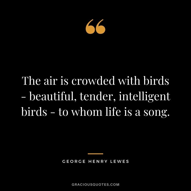The air is crowded with birds - beautiful, tender, intelligent birds - to whom life is a song.