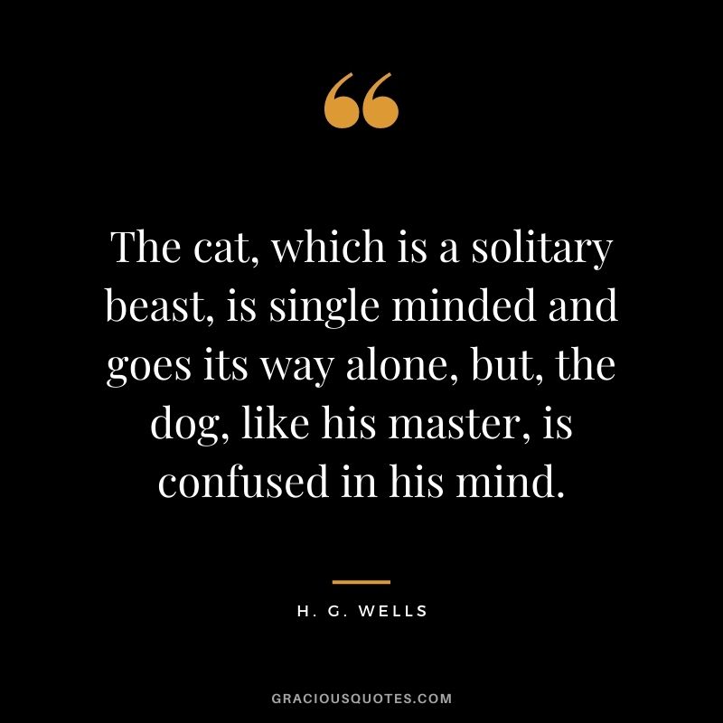 The cat, which is a solitary beast, is single minded and goes its way alone, but, the dog, like his master, is confused in his mind.