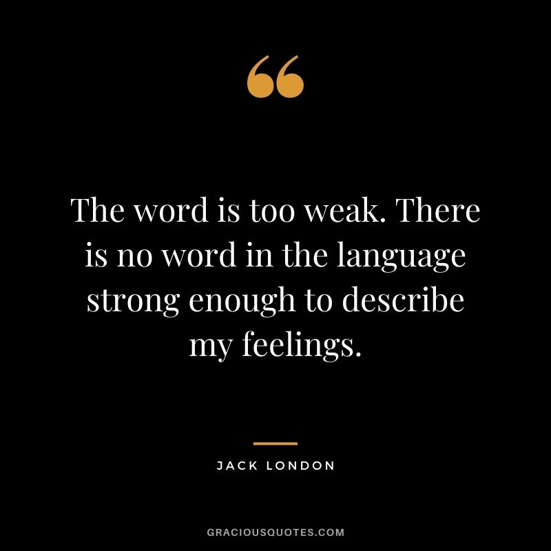 The word is too weak. There is no word in the language strong enough to describe my feelings.
