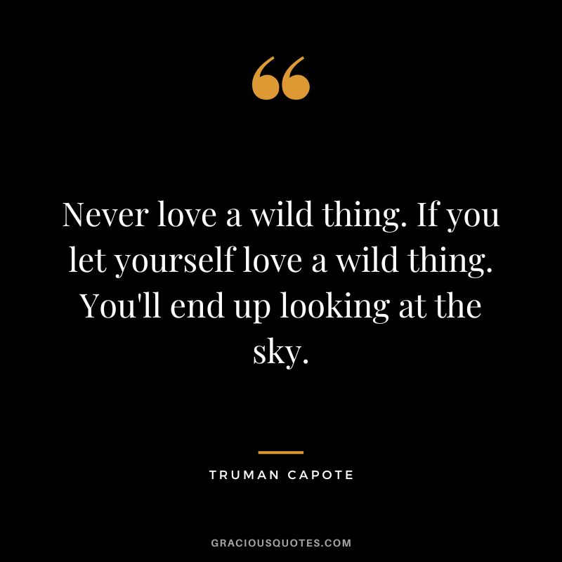 Never love a wild thing. If you let yourself love a wild thing. You'll end up looking at the sky.