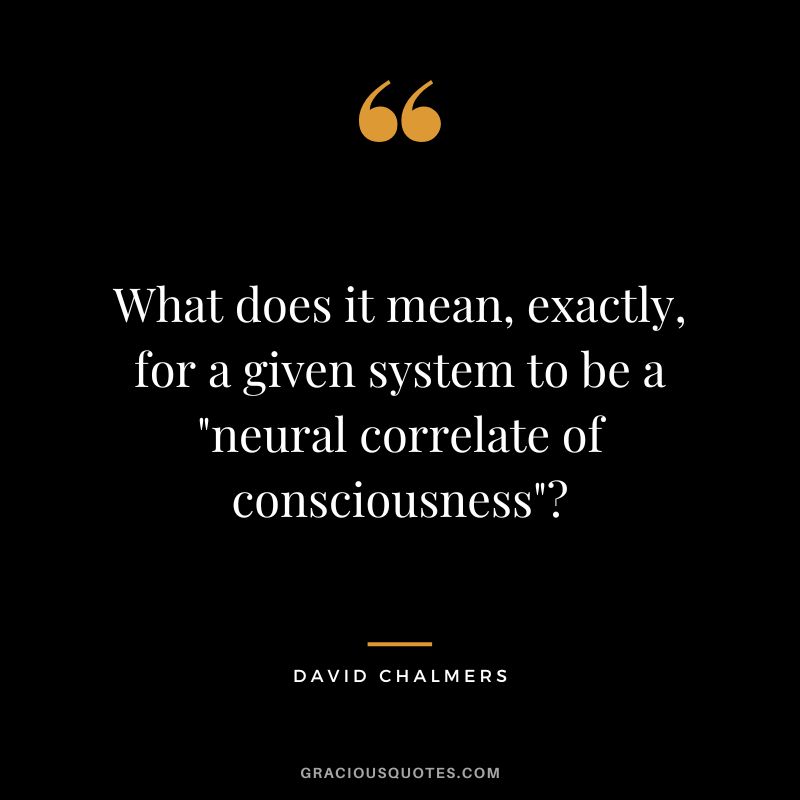 What does it mean, exactly, for a given system to be a neural correlate of consciousness