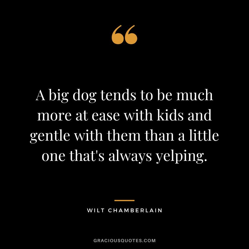 A big dog tends to be much more at ease with kids and gentle with them than a little one that's always yelping.