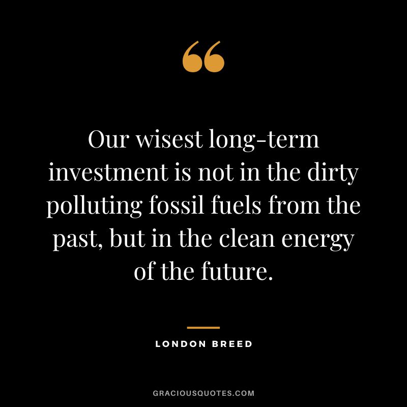 Our wisest long-term investment is not in the dirty polluting fossil fuels from the past, but in the clean energy of the future. - London Breed