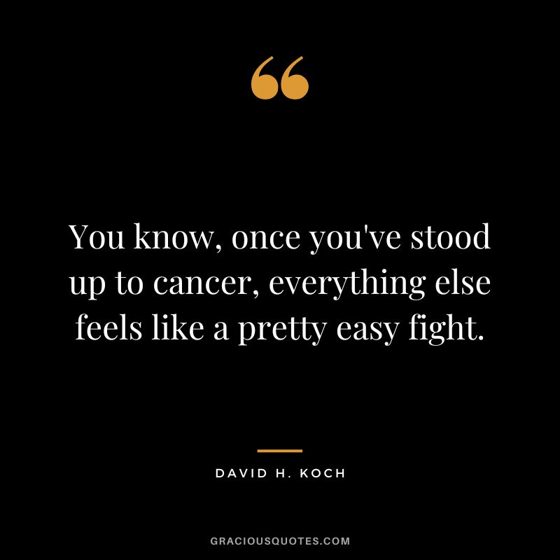 You know, once you've stood up to cancer, everything else feels like a pretty easy fight. - David H. Koch
