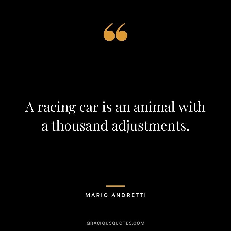 A racing car is an animal with a thousand adjustments. - Mario Andretti