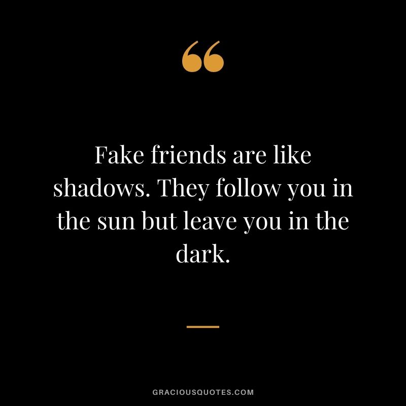 Fake friends are like shadows. They follow you in the sun but leave you in the dark.