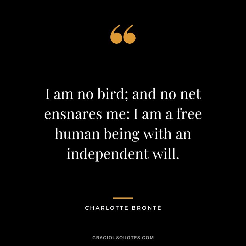 I am no bird; and no net ensnares me: I am a free human being with an independent will. - Charlotte Brontë