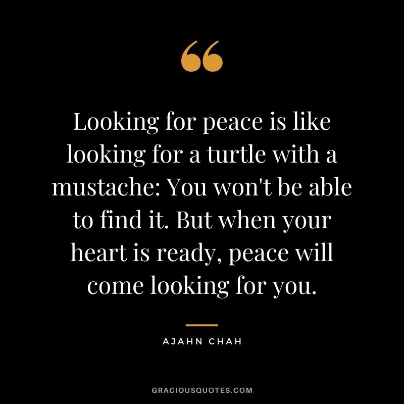 Looking for peace is like looking for a turtle with a mustache You won't be able to find it. But when your heart is ready, peace will come looking for you. - Ajahn Chah