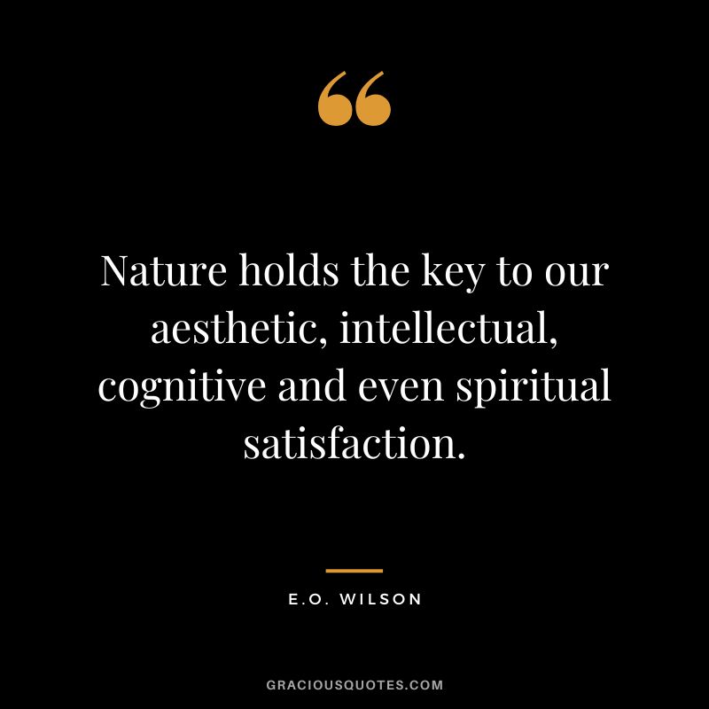 Nature holds the key to our aesthetic, intellectual, cognitive and even spiritual satisfaction. - E.O. Wilson
