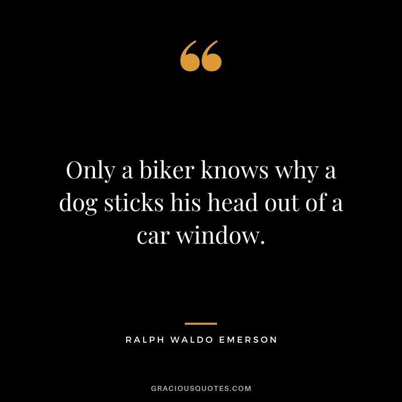 Only a biker knows why a dog sticks his head out of a car window. - Ralph Waldo Emerson