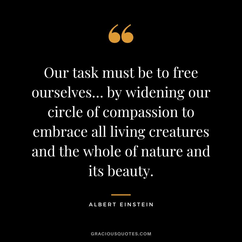 Our task must be to free ourselves… by widening our circle of compassion to embrace all living creatures and the whole of nature and its beauty. - Albert Einstein
