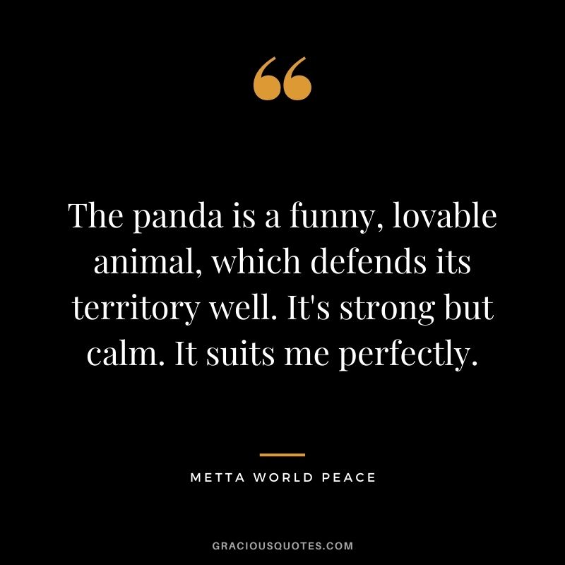 The panda is a funny, lovable animal, which defends its territory well. It's strong but calm. It suits me perfectly. - Metta World Peace