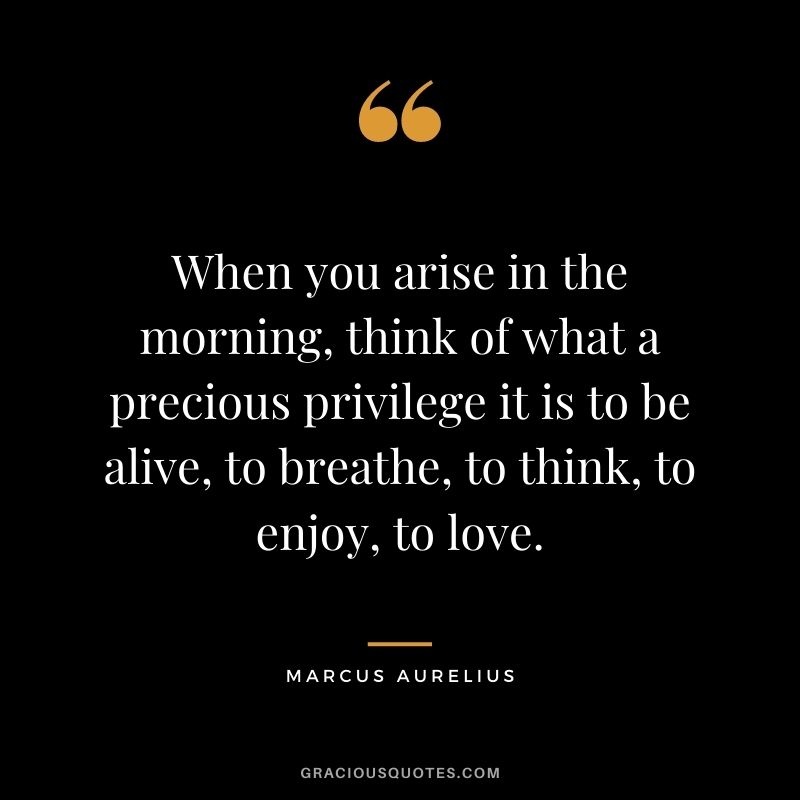 When you arise in the morning, think of what a precious privilege it is to be alive, to breathe, to think, to enjoy, to love. – Marcus Aurelius