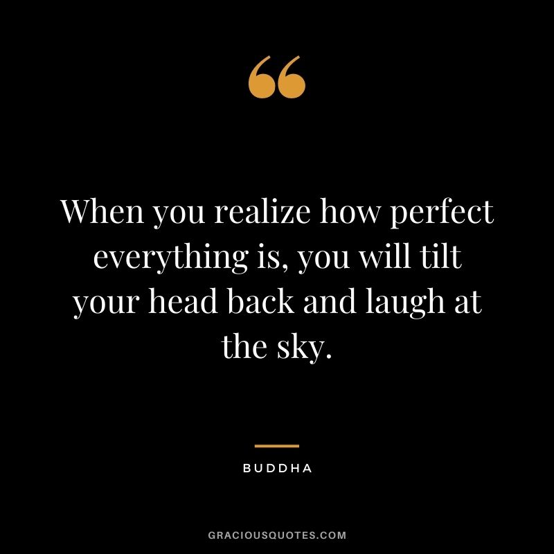 When you realize how perfect everything is, you will tilt your head back and laugh at the sky. - Buddha