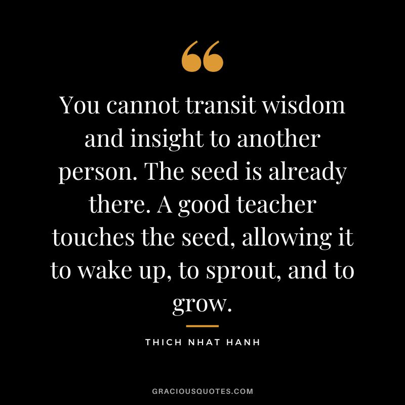 You cannot transit wisdom and insight to another person. The seed is already there. A good teacher touches the seed, allowing it to wake up, to sprout, and to grow. - Thich Nhat Hanh