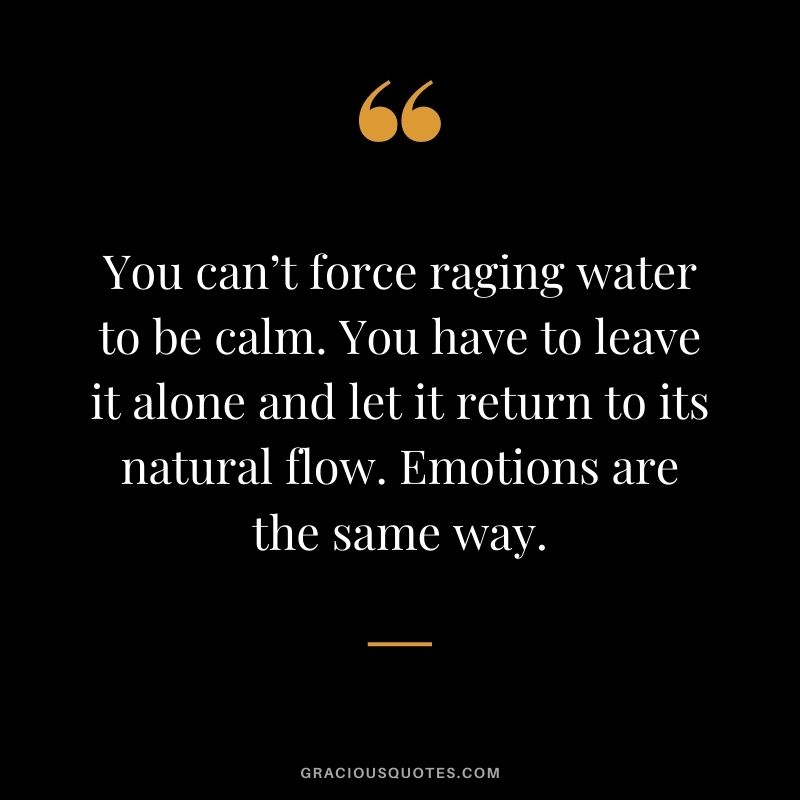 You can’t force raging water to be calm. You have to leave it alone and let it return to its natural flow. Emotions are the same way.