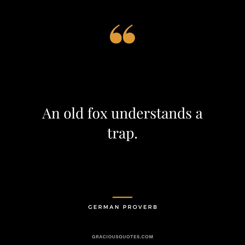 An old fox understands a trap.