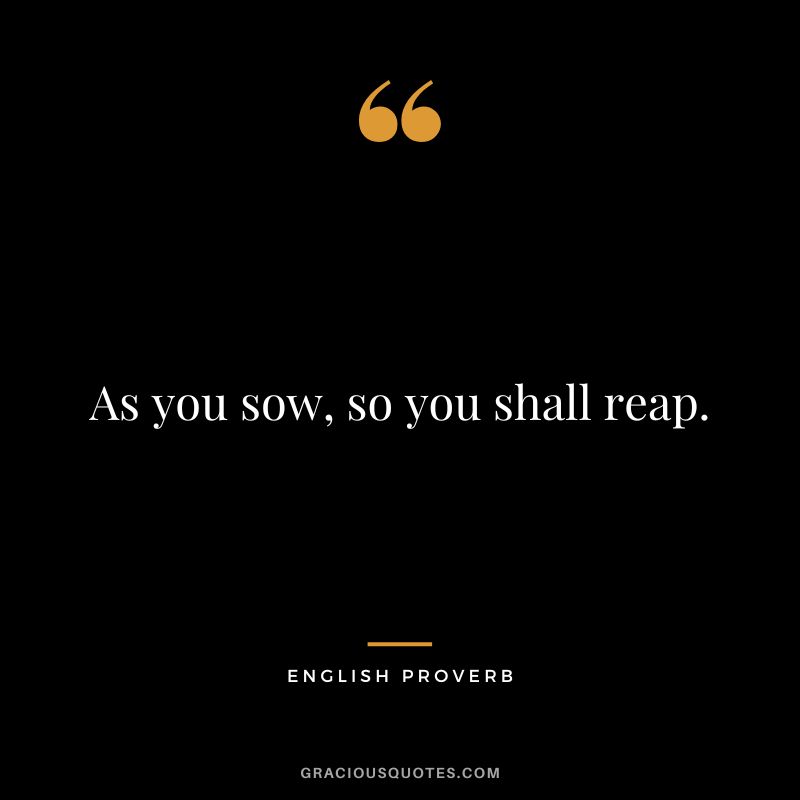 As you sow, so you shall reap.