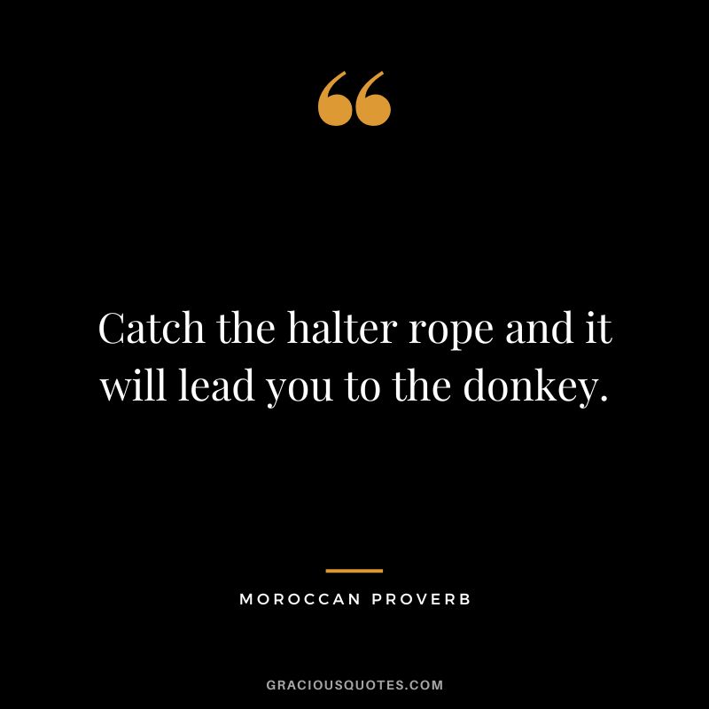 Catch the halter rope and it will lead you to the donkey.
