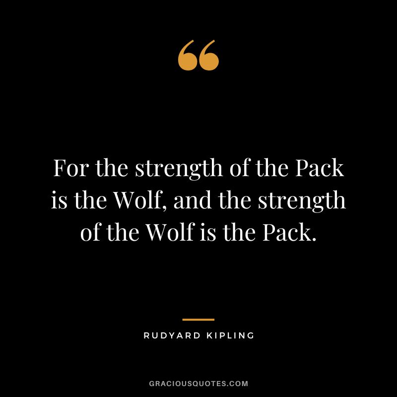 For the strength of the Pack is the Wolf, and the strength of the Wolf is the Pack. - Rudyard Kipling