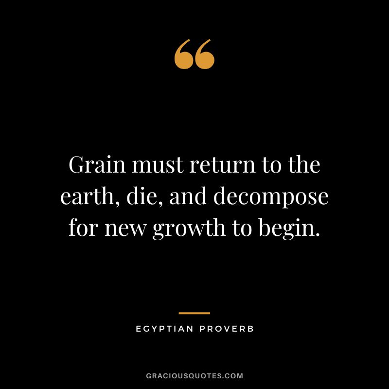 Grain must return to the earth, die, and decompose for new growth to begin.