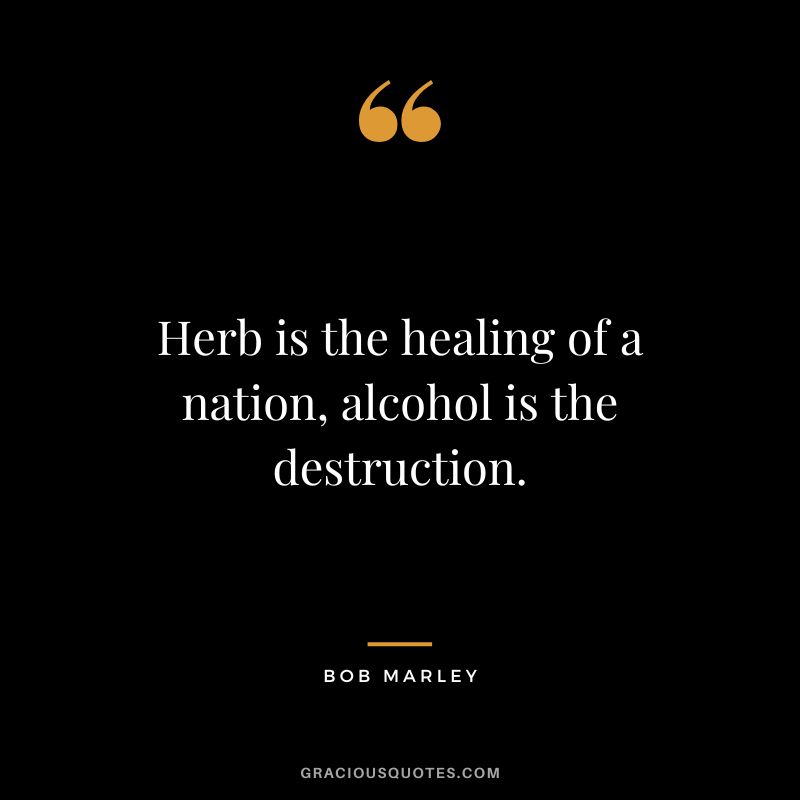 Herb is the healing of a nation, alcohol is the destruction. - Bob Marley
