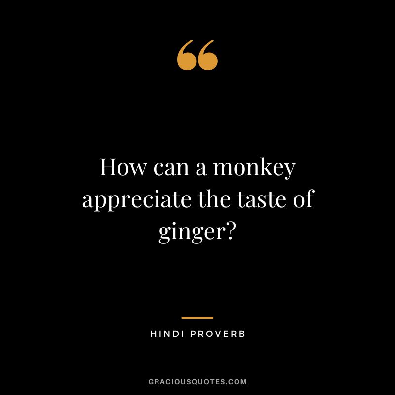 How can a monkey appreciate the taste of ginger
