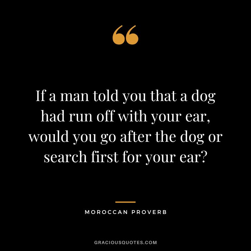 If a man told you that a dog had run off with your ear, would you go after the dog or search first for your ear