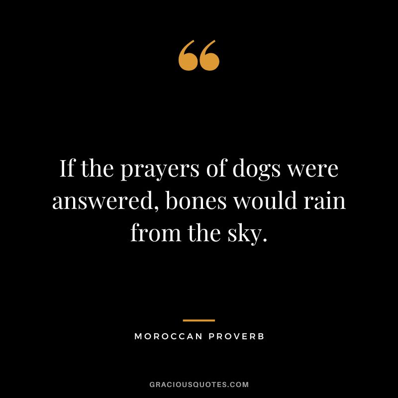 If the prayers of dogs were answered, bones would rain from the sky.
