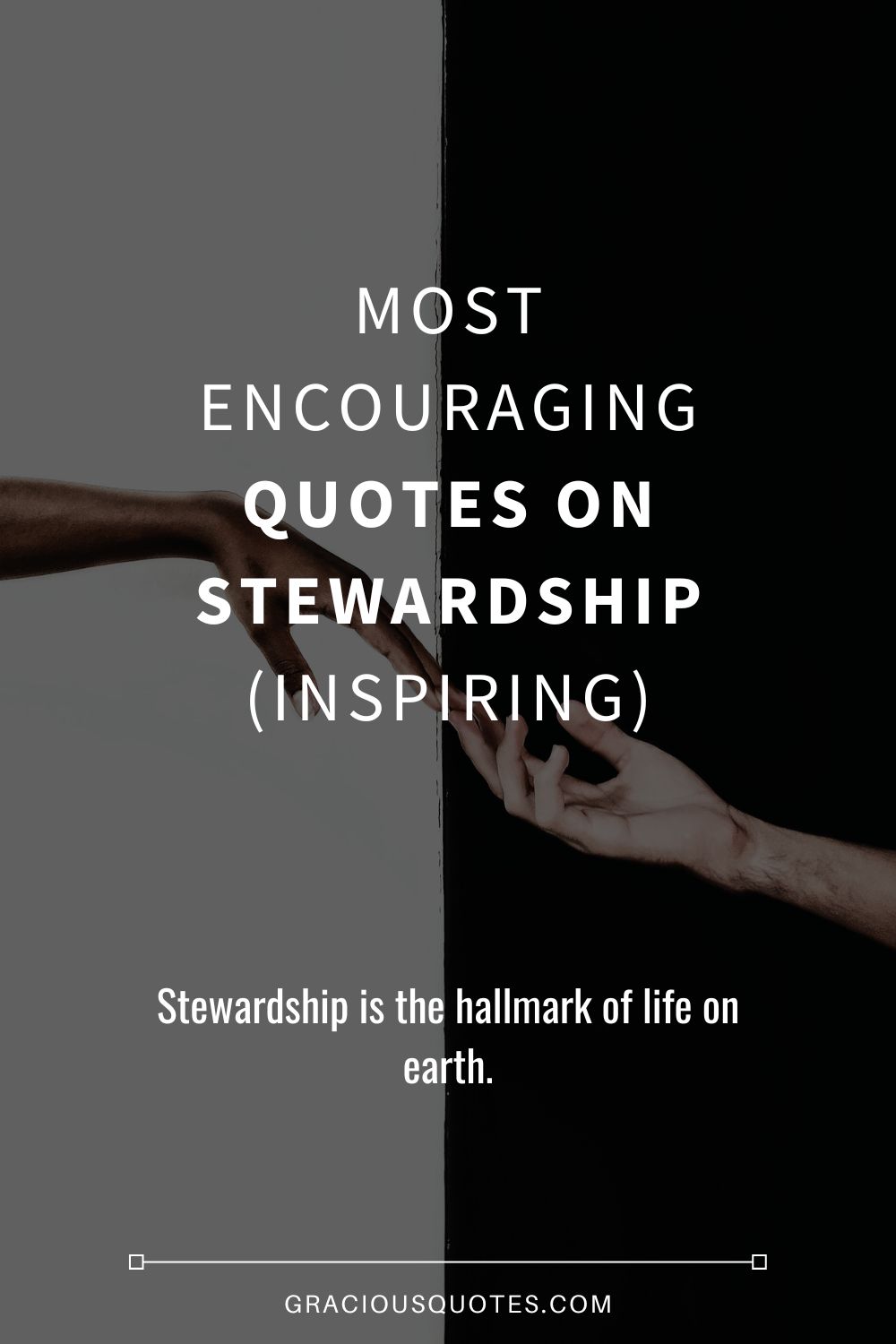 Most Encouraging Quotes on Stewardship (INSPIRING) - Gracious Quotes