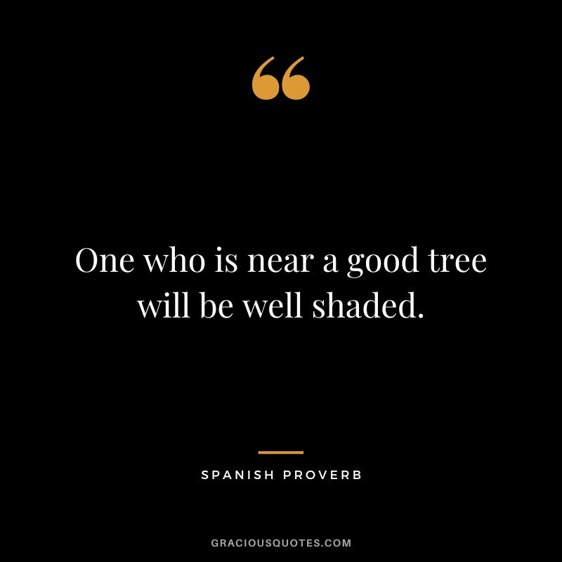 One who is near a good tree will be well shaded.