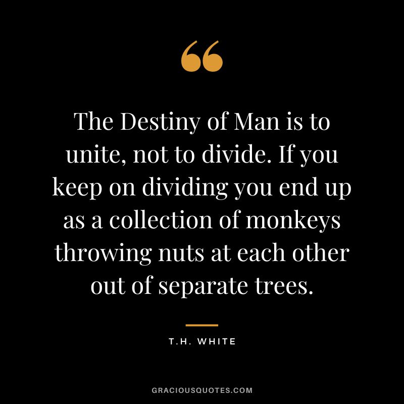 The Destiny of Man is to unite, not to divide. If you keep on dividing you end up as a collection of monkeys throwing nuts at each other out of separate trees. - T.H. White