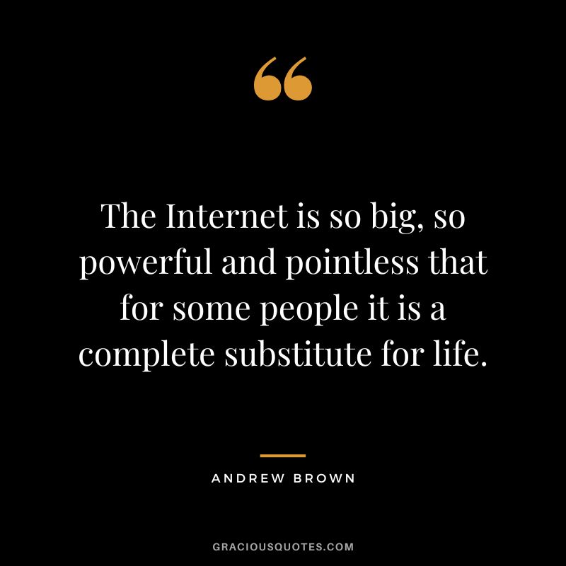 The Internet is so big, so powerful and pointless that for some people it is a complete substitute for life. - Andrew Brown