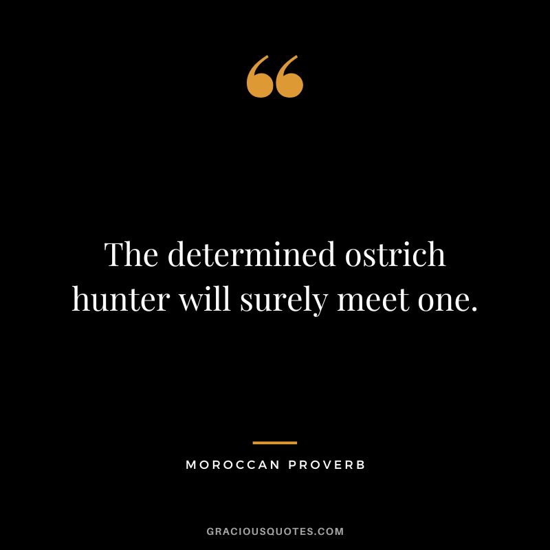 The determined ostrich hunter will surely meet one.
