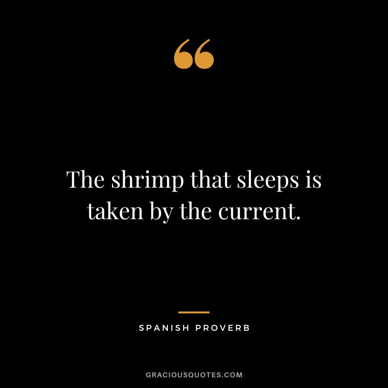 The shrimp that sleeps is taken by the current.