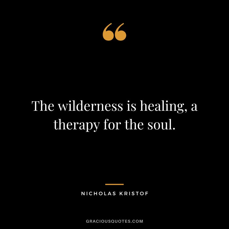 The wilderness is healing, a therapy for the soul. - Nicholas Kristof