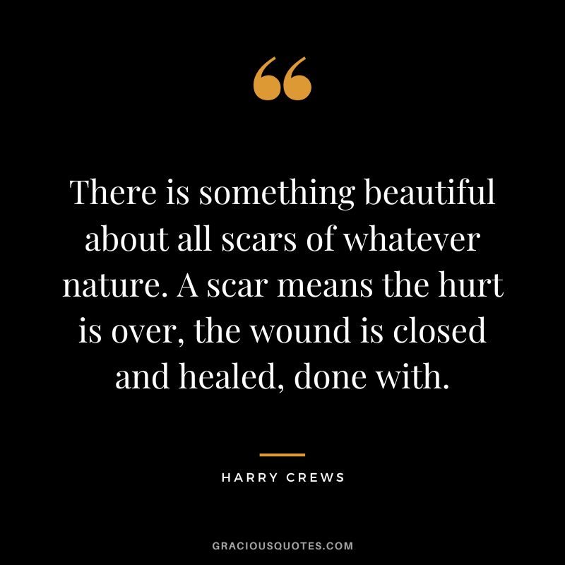 There is something beautiful about all scars of whatever nature. A scar means the hurt is over, the wound is closed and healed, done with. - Harry Crews