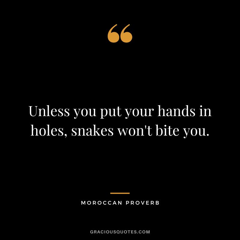 Unless you put your hands in holes, snakes won't bite you.