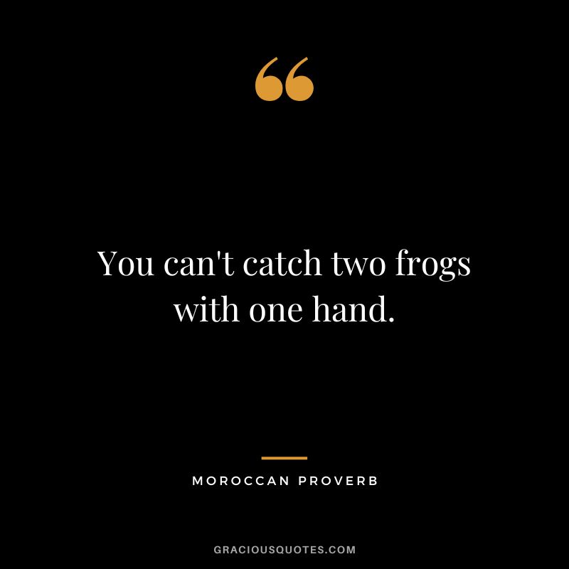 You can't catch two frogs with one hand.