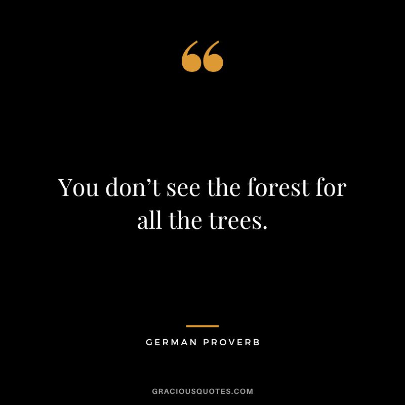 You don’t see the forest for all the trees.