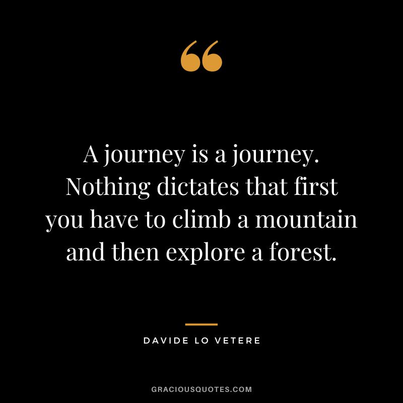 A journey is a journey. Nothing dictates that first you have to climb a mountain and then explore a forest. - Davide Lo Vetere