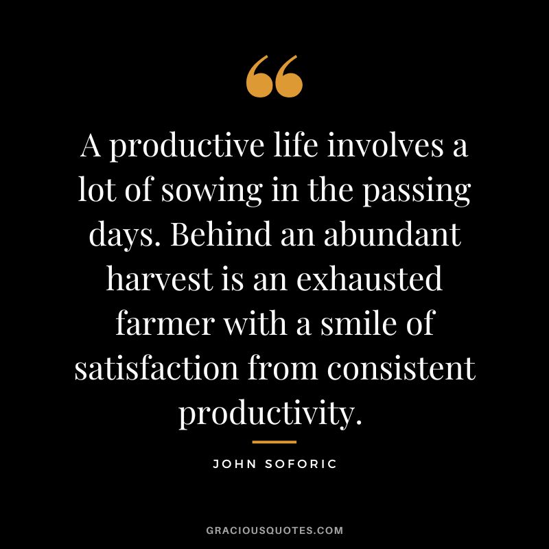A productive life involves a lot of sowing in the passing days. Behind an abundant harvest is an exhausted farmer with a smile of satisfaction from consistent productivity. - John Soforic